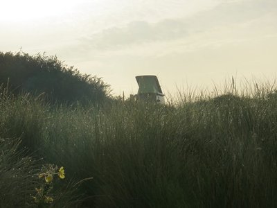 In The SUN