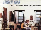 Andrew Gold photo
