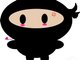 That's right, I'm a ninja.