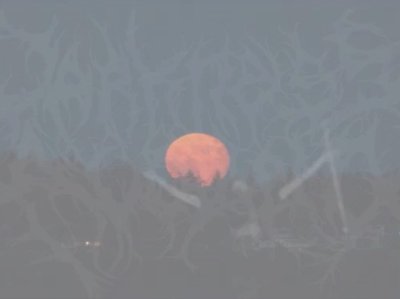 Darkness Avowed photo