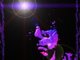 Rock Doc - Black Light