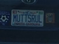 Circus Mutt photo