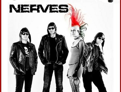 THE NERVES photo