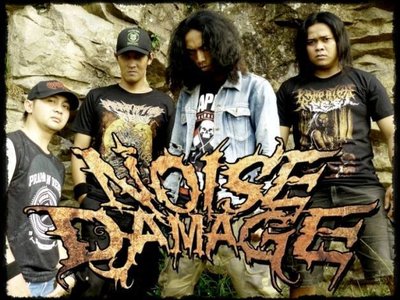 NOISE DAMAGE 2012 - NOW