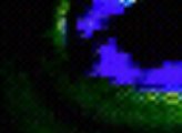 DEVTHTRVPS photo