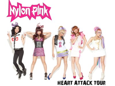 Nylon Pink photo