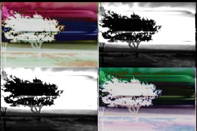 ambient video at richardbone.com