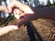 &iloveyou;