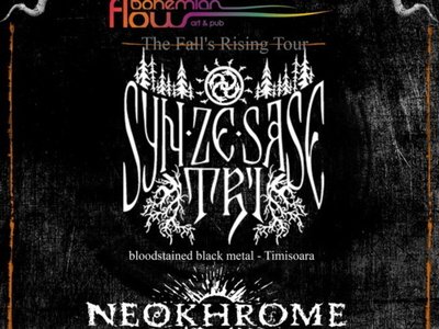 November 15th, 2013, Sibiu (Romania)
