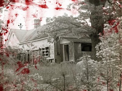 LyAllen photo