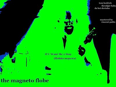 The Magneto Flobe photo