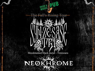 November 17th, 2013, Cluj-Napoca (Romania)