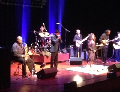 Lady Rose Blues Band photo