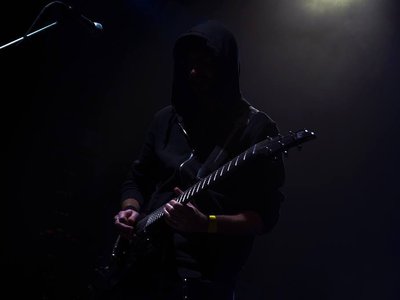Black Born Phoenix photo