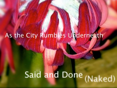 Album cover for "Said and Done (Naked)"