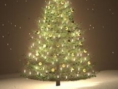 BRP Christmas