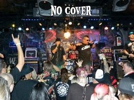 The Chimpz photo