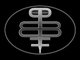 Project BrundleFly