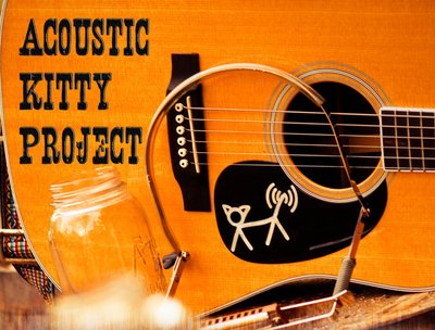 Acoustic Kitty Project photo