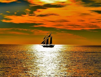 Dave Riggins photo