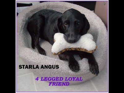 Starla Angus photo