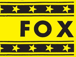 Todd and the Fox photo