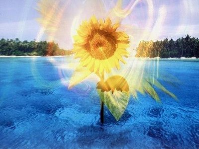 VA: Psychedelic Chilling 2 (CD2 Track 4)