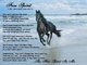 sent to me by a dear friend who is now in Heaven, we shared the same type of spirit
