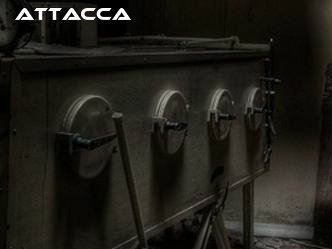 Attacca photo