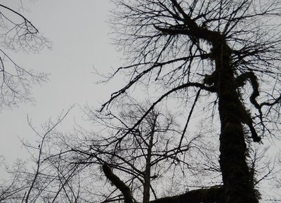 Darkness Avowed photo