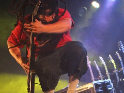 Hemlock photo