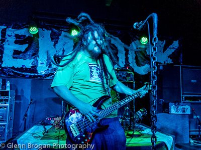 Hemlock photo