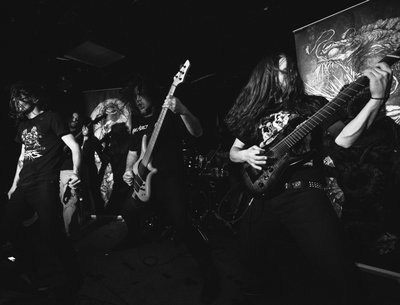 Hadal Maw photo