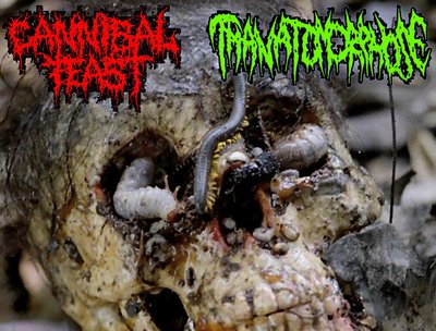 ''WORMFEAST'' split with CANNIBAL FEAST