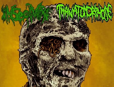 ''FLESH EATERS'' split with INSECTIVORE