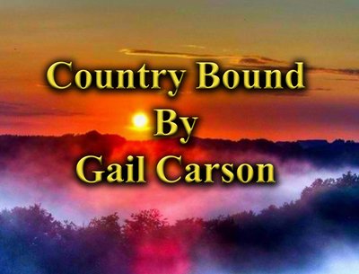 Gail Carson photo