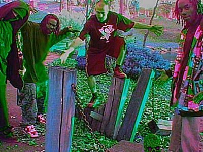 Morbid Sikosis photo