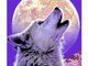 White Wolf Film & Audio Productions
