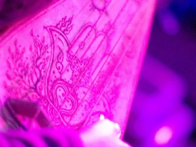 Hamsa Lila photo
