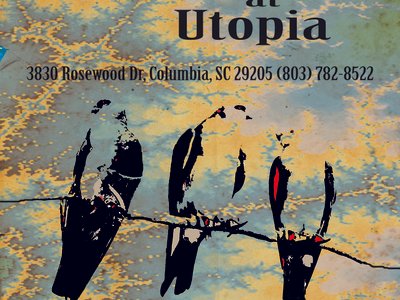 Mississippi Kites photo