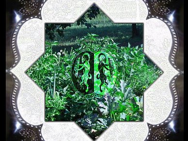 la gorgone e l'orgone