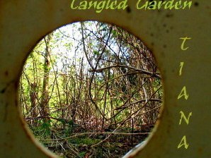 Cover art by Tiana