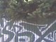 SBX SBX