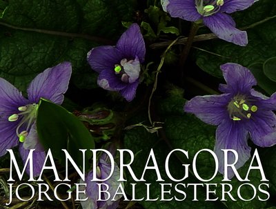 Jorge Ballesteros photo