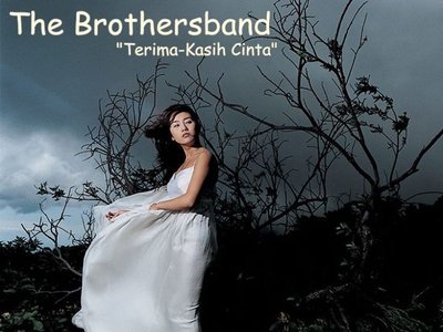 The Brothersband photo
