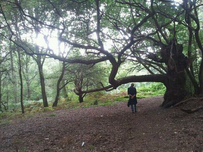 Mc2ipswich photo