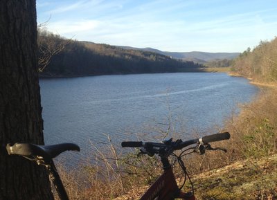 Bicycle photo