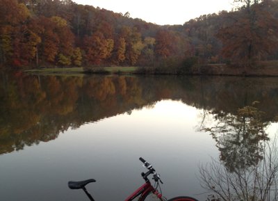 Bicycle photo
