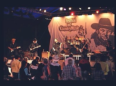 NEW COUNTRY RAIN photo