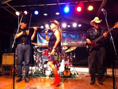 NEW COUNTRY RAIN photo